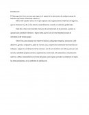 Diferencias entre un jefe y líder