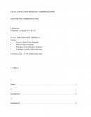 Tangibilización de la Organización