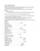 Investigacion De Niños Con Agresividad