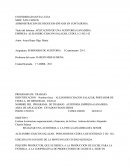 PLaneacion De Una Auditoria