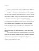 Estructura Organizacional