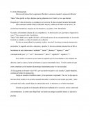 Un Grito Desesperado