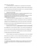 Estrategias De Campañas Electorales