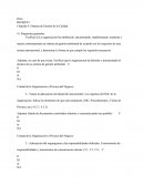 Inicio De Las Auditorias ISO 9001:2008