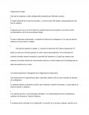 ESTRUCTURA ORGANIZATIVA DE LA EMPRESA