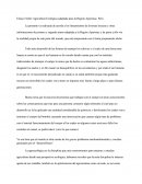 Ensayo De Agricultura Ecologica