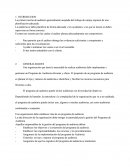 Planificacion De Una Auditoria