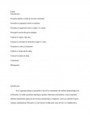 Problemas Epistemologicos