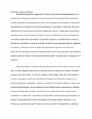 Desarrollo Cognitivo De Piaget