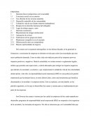 Principales Razones Para Implementar La RSE