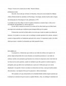 Errores En La Crianza De Los Niños