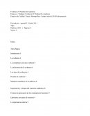 Evidencias De Auditoria