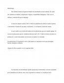 Metodología CAD / CAM