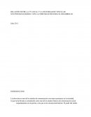 RELACIÓN ENTRE LA TV LOCAL Y LA NECESIDAD DE VINCULAR SUS POTENCIALIDADES CON LA COMUNICACIÓN PARA EL DESARROLLO