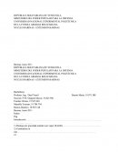 Proyectos
