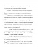 Riesgos Del Software