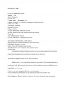 Historia Clinica Geriatria