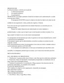 Ensayo Del Rol Del Contador En Las Organizaciones