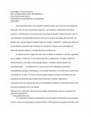 Psicologia Dl Desarrollo Infantil