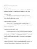 INFORME DE DESARROLLO SOCIO POLITICO