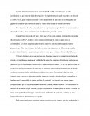 Investigación G.R.A.P.