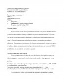 Instructivo_Diag_PEE_PAT2009-210