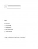 Actividades 2° El caballito de mar