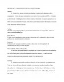 Componentes De La Pc