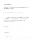 ENSAYO CUADRANTE DEL EFECTIVO