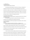 Articulaciones del caballo