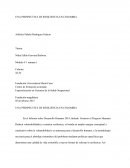 UNA PERSPECTIVA DE RESILIENCIA EN COLOMBIA