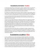 Ecosistema terrestre