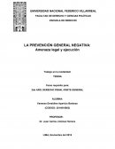 Prevención General Negativa