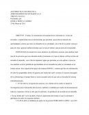 Anteproyecto de práctica Arrendamientos Envigado S.A.S