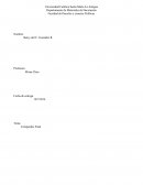 Materiales de Decoración