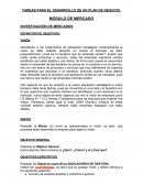 TAREAS PARA EL DESARROLLO DE UN PLAN DE NEGOCIO