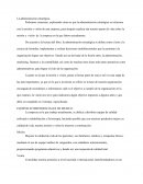 Administracion estrategica. Equipos interferenciales de Mexico