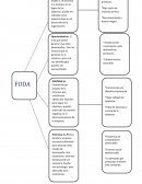 PAG 229 Y 230 DE APA 3
