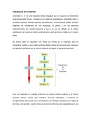 Arquitectura de la empresa