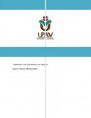 Reinsercion social en mexico