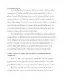 Aportación Individual del Caso de Estudio