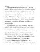 Culturas Populares en el Capitalismo