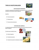Tipos de biotecnologia