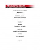 Sintesis sobre los adolescentes