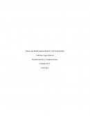 Remuneraciones y Compensaciones