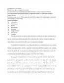 La planeacion y la empresa