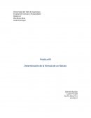 Quimica