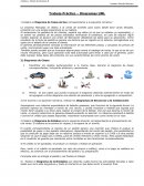 Analisis de sistemas II