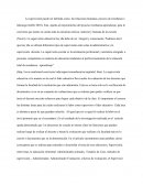 SUPERVISION EDUCATIVA