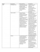 Morfología interna y externa de la hoja